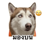 858343021