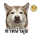 858343024