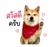 858344002