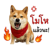 858344005
