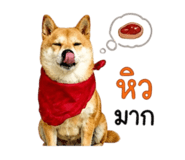 858344007