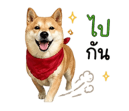 858344008