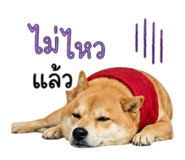 858344009