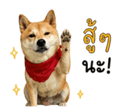858344011