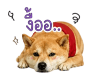 858344012