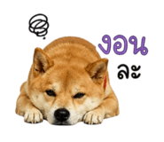 858344013