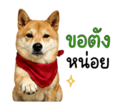 858344014