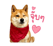 858344015