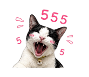 858345108