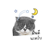 858345430
