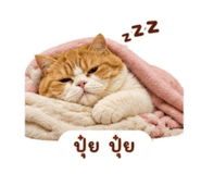 858346522