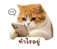858346523