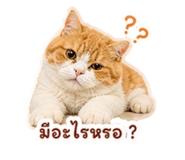 858346525