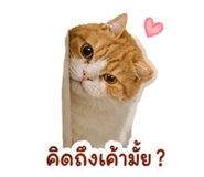 858346530