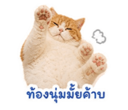 858346532