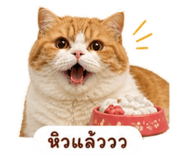 858346535