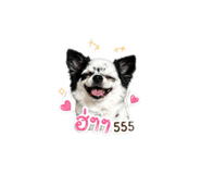 858347460