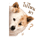 858347938