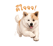 858347943