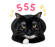 858348493