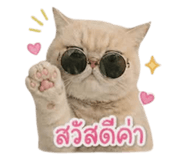 858348761