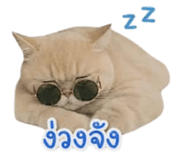 858348764