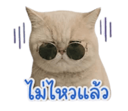 858348767
