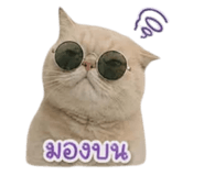 858348769