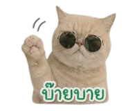 858348772