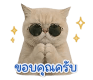 858348773