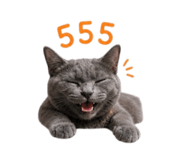 858349242