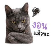 858349243