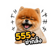 858349294