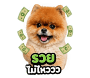 858349304