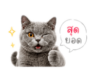 858349766