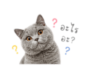 858349767