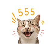 858349881
