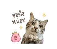 858349885