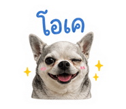 858349946