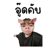 858350536