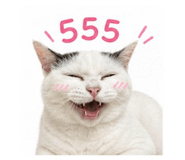 858350993