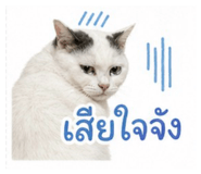 858350998