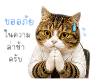 858351711