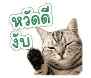 858351973