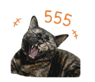 858352661