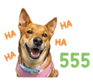 858355741