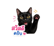 858357297