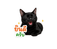 858357298
