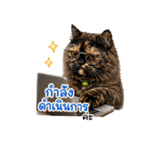 858357316