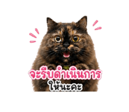 858357321